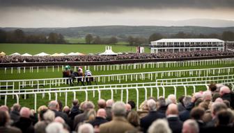 Drei Pferde sterben bei Cheltenham-Rennen im britischen Pferdesport