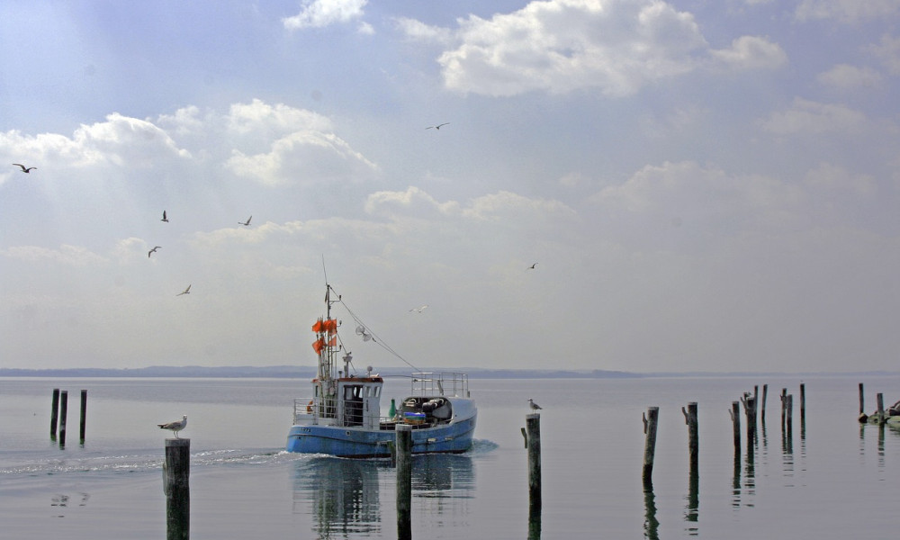 Nachhaltige Fischerei in der Kieler Bucht: Ein Erfolgsmodell?