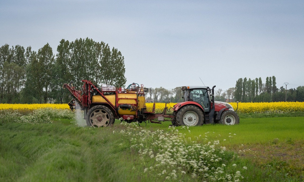 Schleswig-Holsteins Agrarpolitik: Herausforderungen für die Küstenregionen