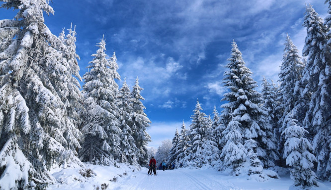 So gelingt der perfekte Skiurlaub in Südtirol